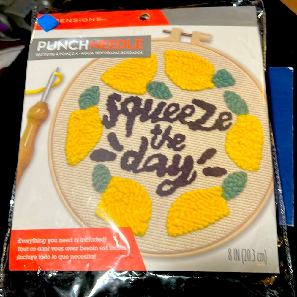 Squeeze the Day Punch Needle